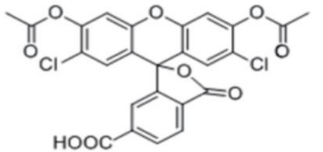 5f211b97e7732.png image.png