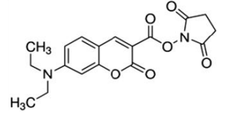 5f31020c65b23.png image.png