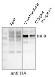 603601e4b20d6.png image.png