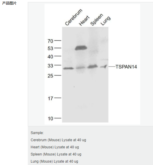 6052abd4abfcf.png image.png