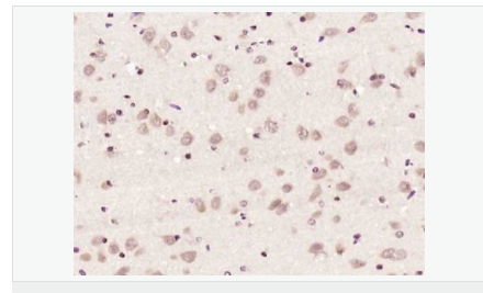 6052bb768b840.png image.png