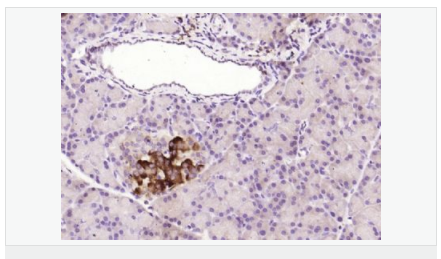 6052bbd64f6dc.png image.png