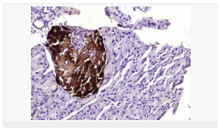 6052bbdf1c07d.png image.png