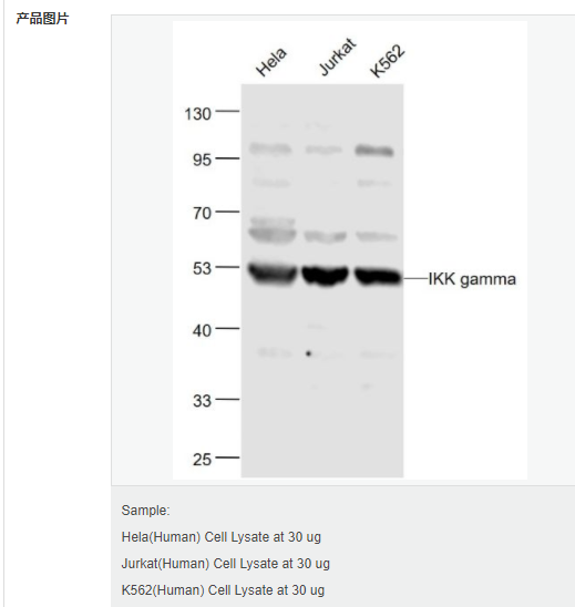 605432e10a9d1.png image.png