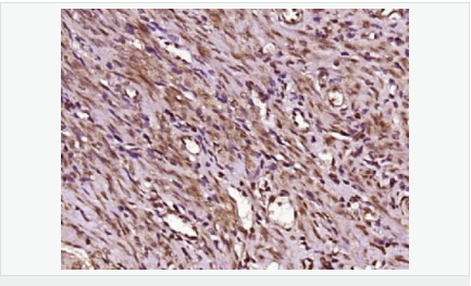 6058398a686ec.png image.png