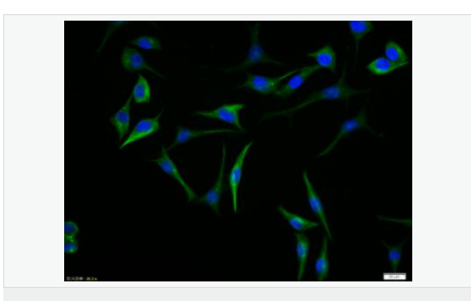 605840f5c83ce.png image.png