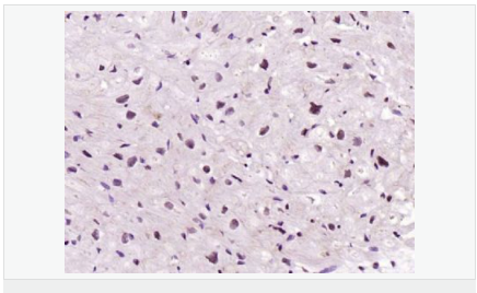 605842f746e50.png image.png