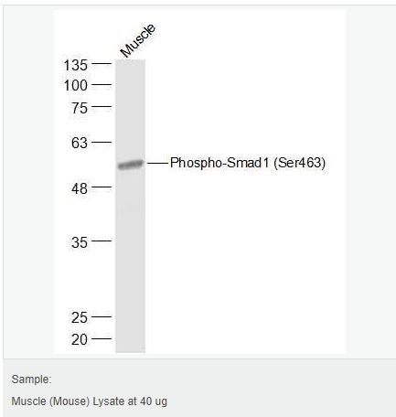 6058444ed1b5d.png image.png