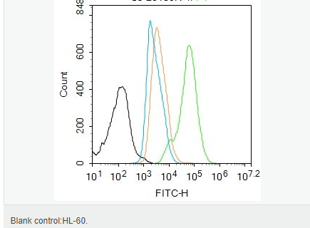 6058539f59779.png image.png