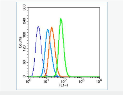 605949d5113f5.png image.png