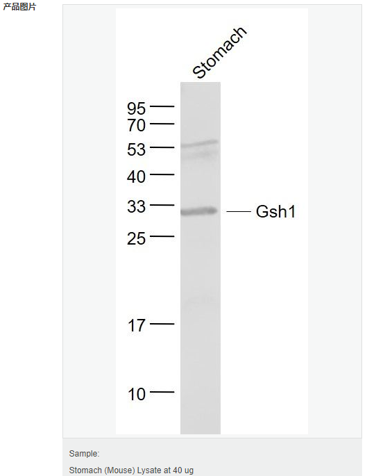 60594de231506.png image.png