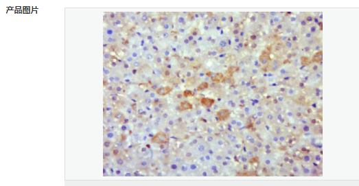 605951c1cf50d.png image.png