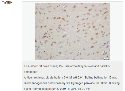 6059593d159ea.png image.png