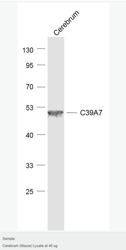 605991db8b7d2.png image.png