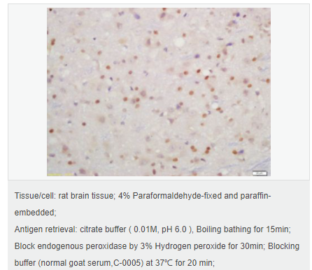 6059a762a9fc2.png image.png