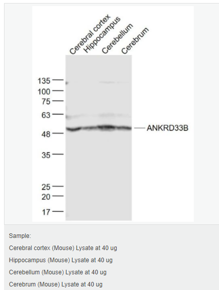 605d9fb46b12a.png image.png