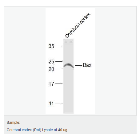 605da16c42fe0.png image.png