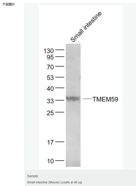 6063cdf815110.png image.png