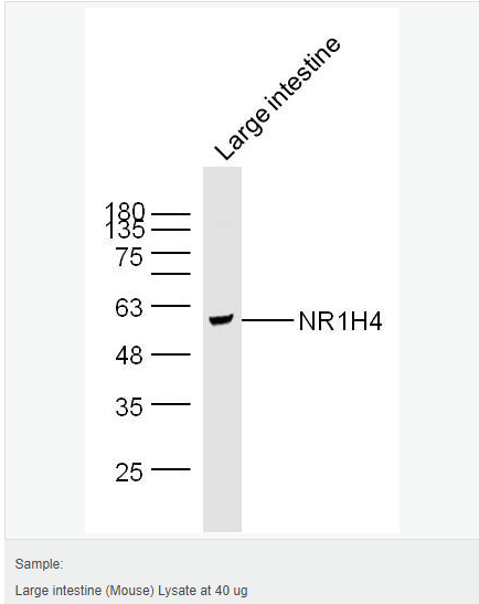 6066c8ec59dd0.png image.png