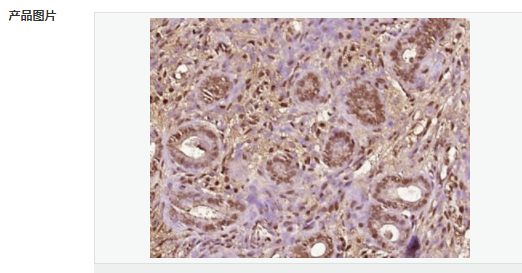 6066ca84b08aa.png image.png