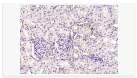 6066d320f2edb.png image.png