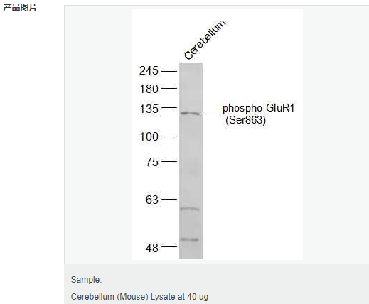 6066da61200c3.png image.png