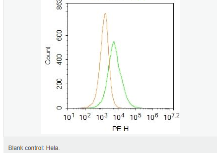 6066dbe65cf3b.png image.png