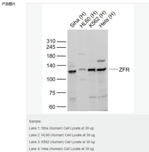 606bc6c519f8d.png image.png