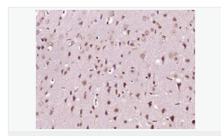 606bc897d7f43.png image.png