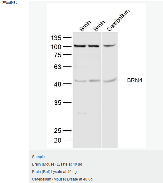 606bcd7492468.png image.png