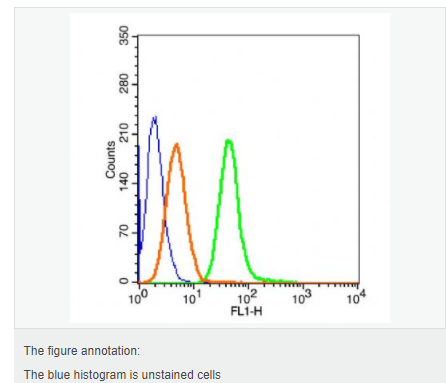 607640cab2e8a.png image.png