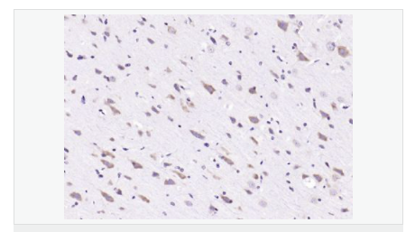 607643d1d921a.png image.png