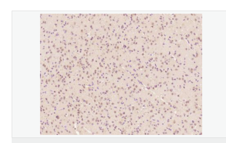 60764402c76da.png image.png