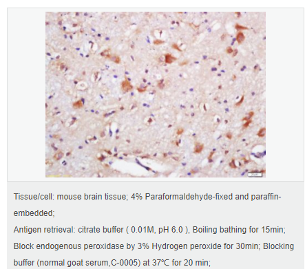 607645558e040.png image.png