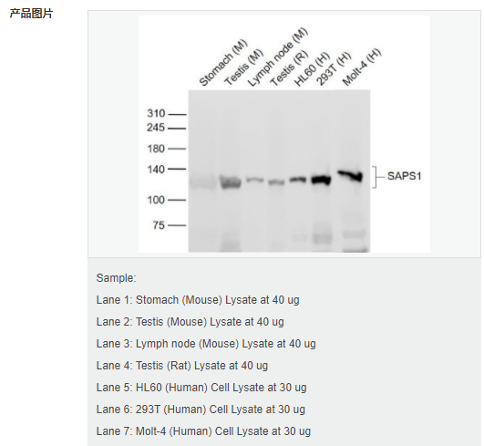 607646c5f2eae.png image.png