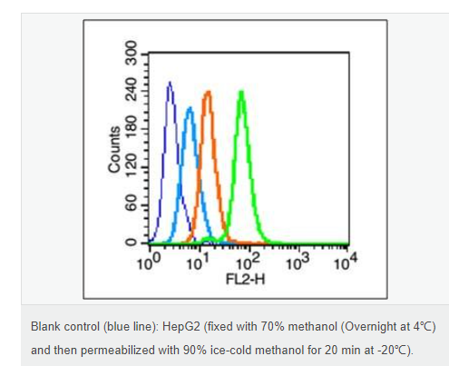 6077a0785ec92.png image.png