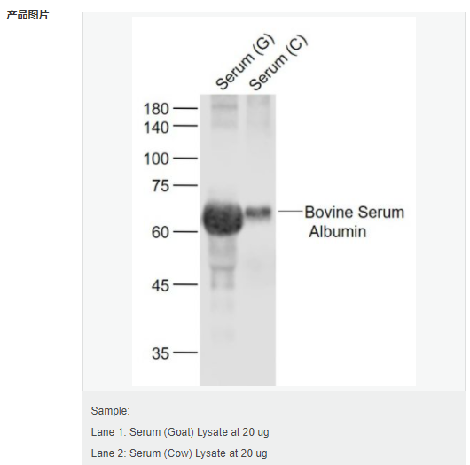 6079526361d57.png image.png