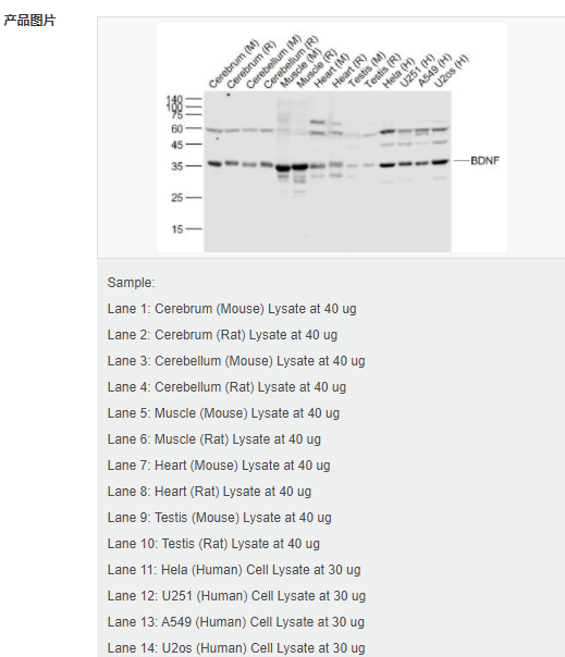 607d2eb4088cf.png image.png