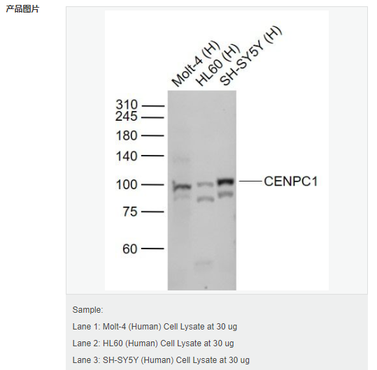 607d3aa2acd67.png image.png